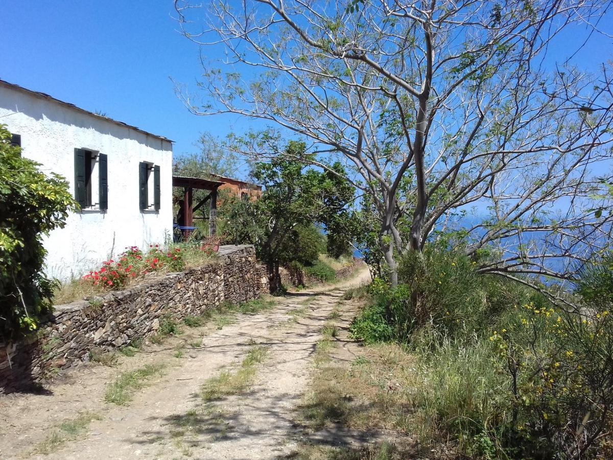 Ikarian Centre - Accommodation & Mountain Hiking 에브딜로스 외부 사진